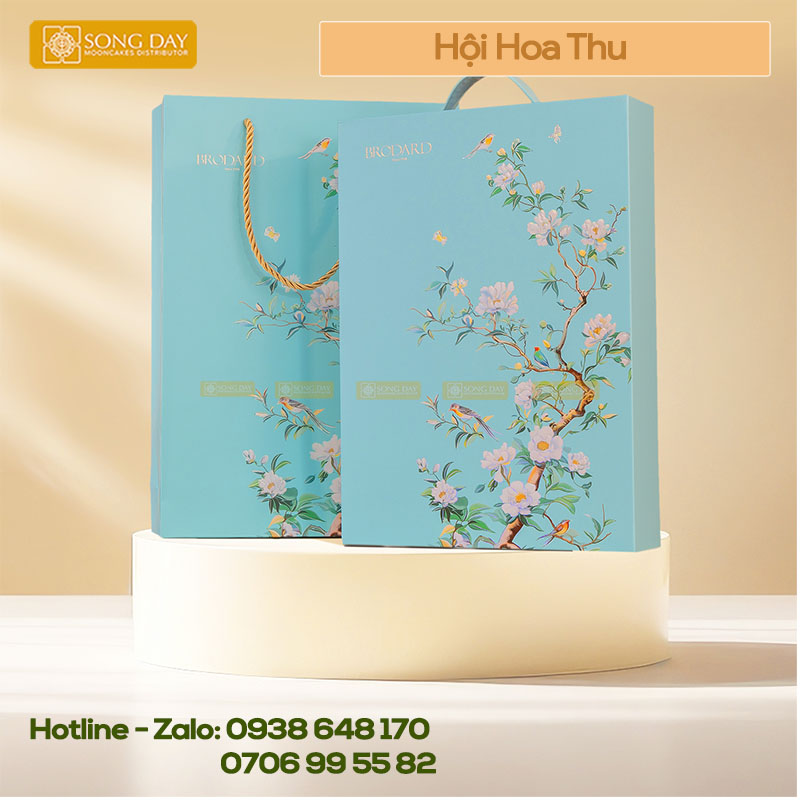 combo mẫu hộp hội hoa thu