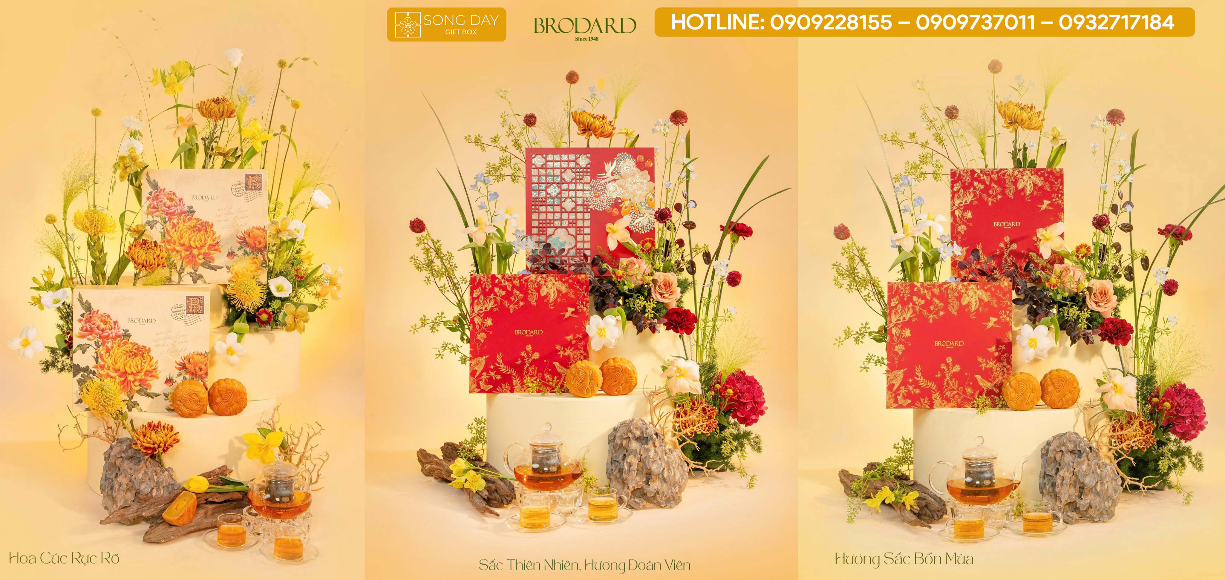 mẫu hộp brodard thay thế