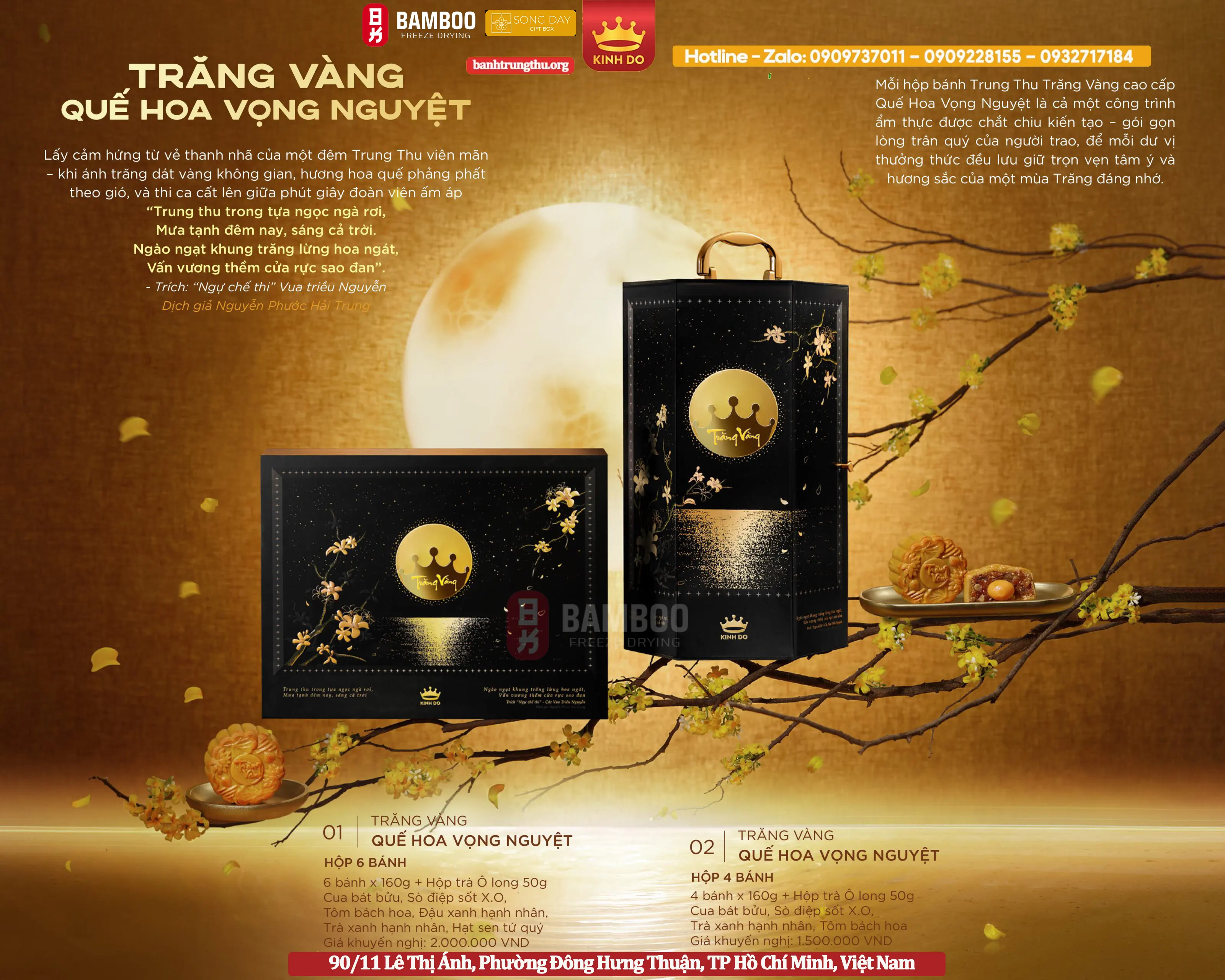 Trăng Vàng Quế Hoa Vọng Nguyệt