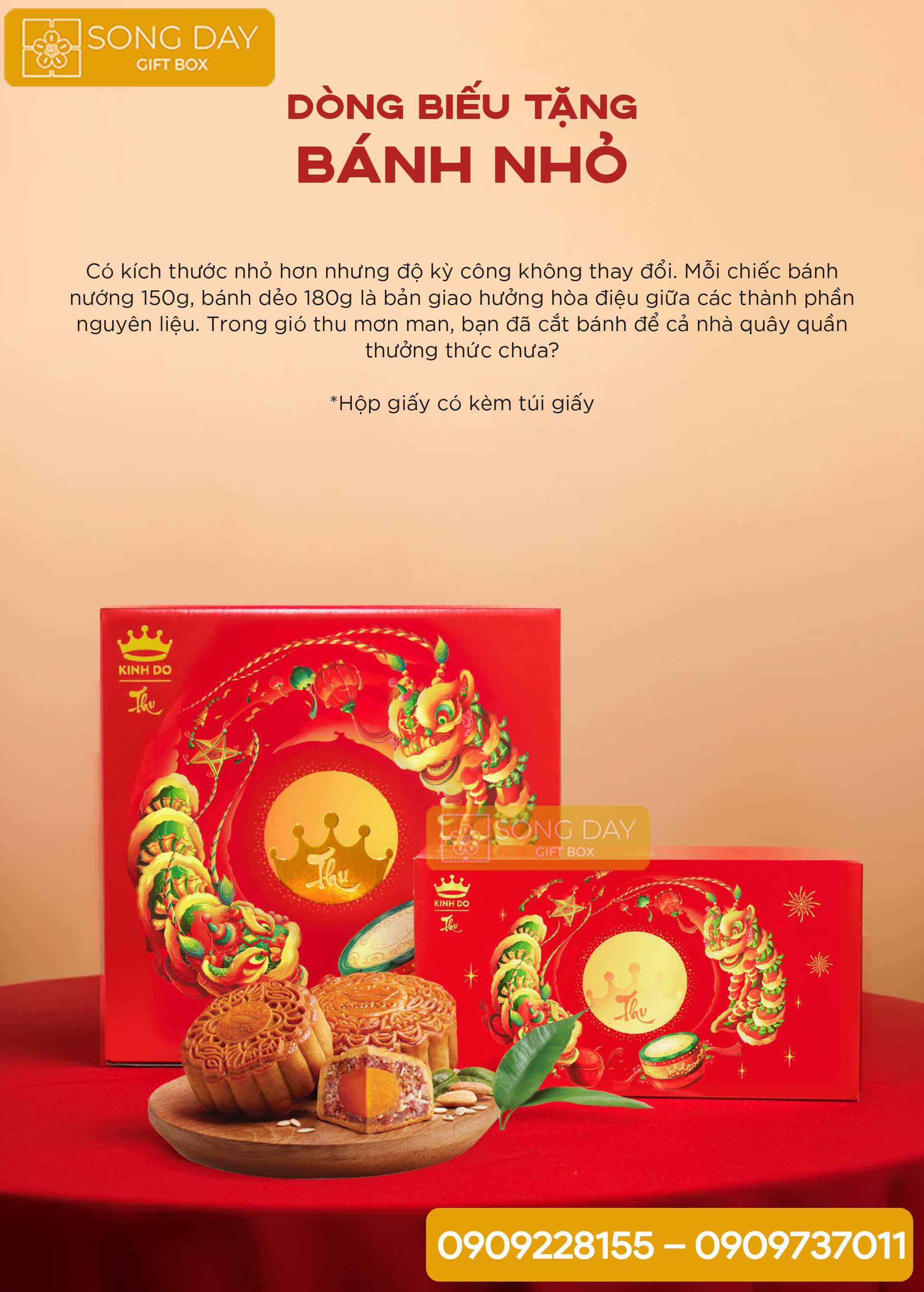 mẫu hộp bánh nhỏ