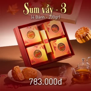 combo sum vầy 3