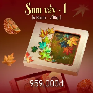 combo sum vầy 1
