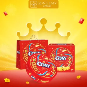 hộp bánh cosy hộp thiết thập cẩm socola
